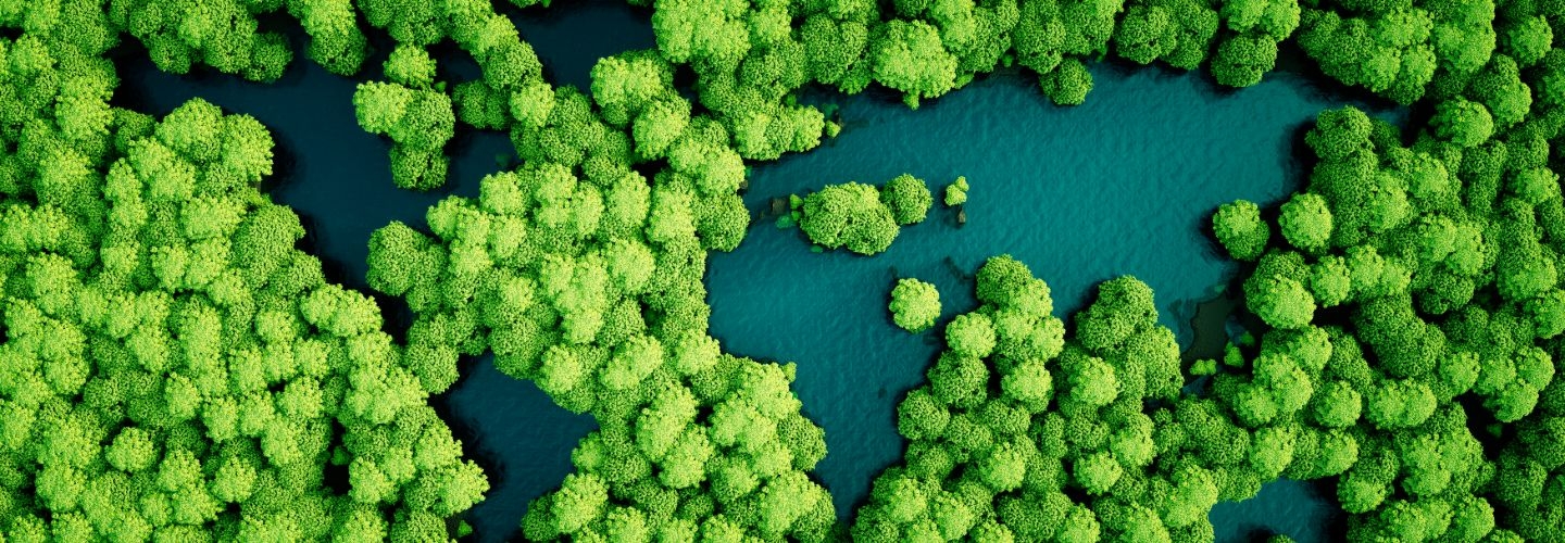 Global carbon removal partnership
